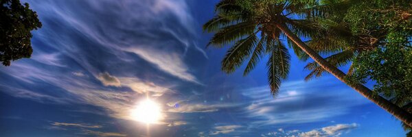 Gazyu Profile Banner