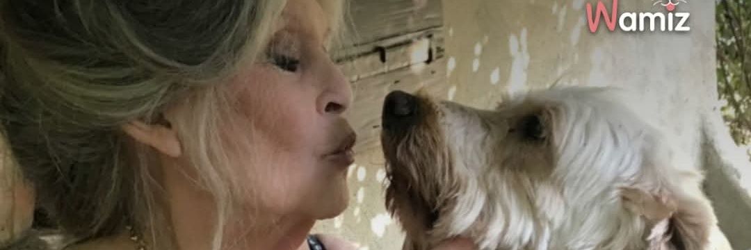 Angelik 31🌹Ⓜ️💙🤍❤️ banner