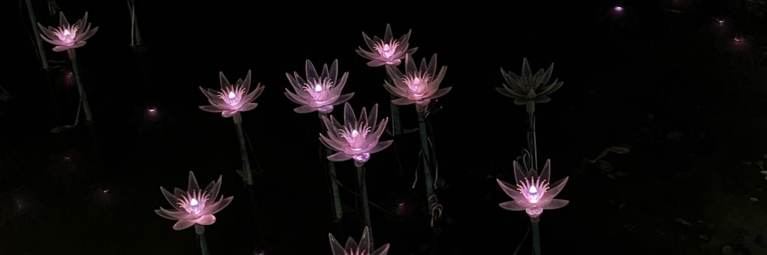 Rula_322's profile banner image
