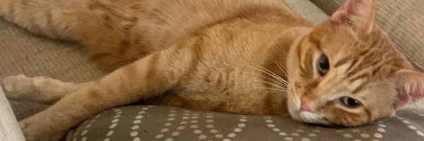 bammy_13 Profile Banner