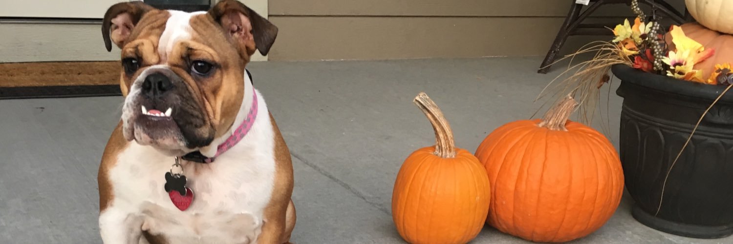 hannahjamessss's profile banner image