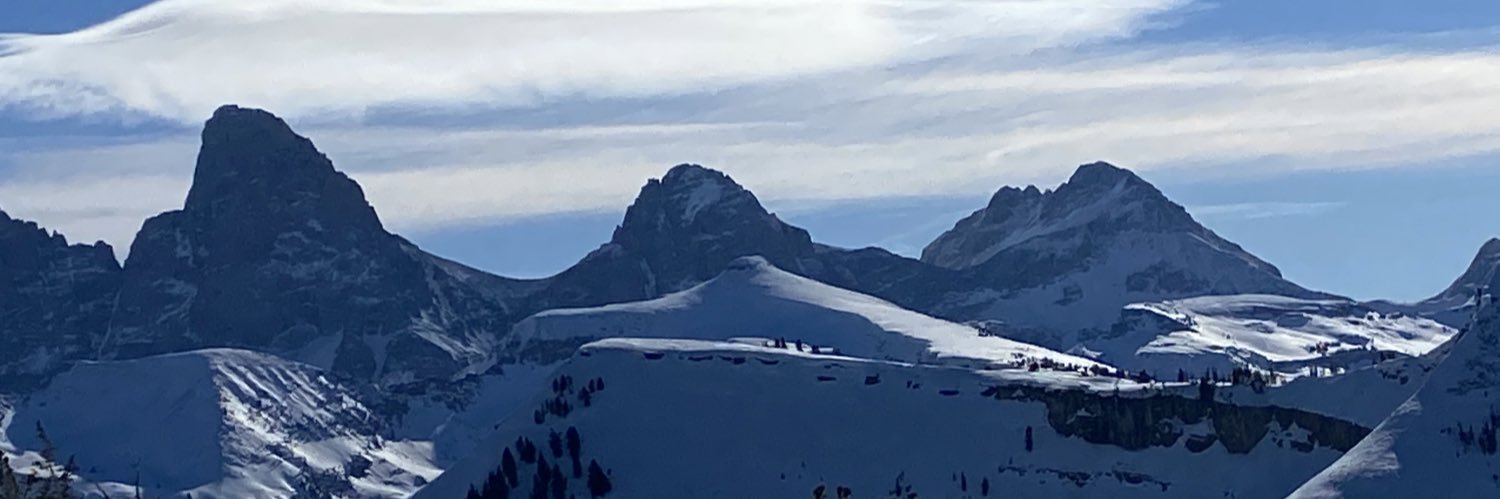 JoJo White Fan Club banner