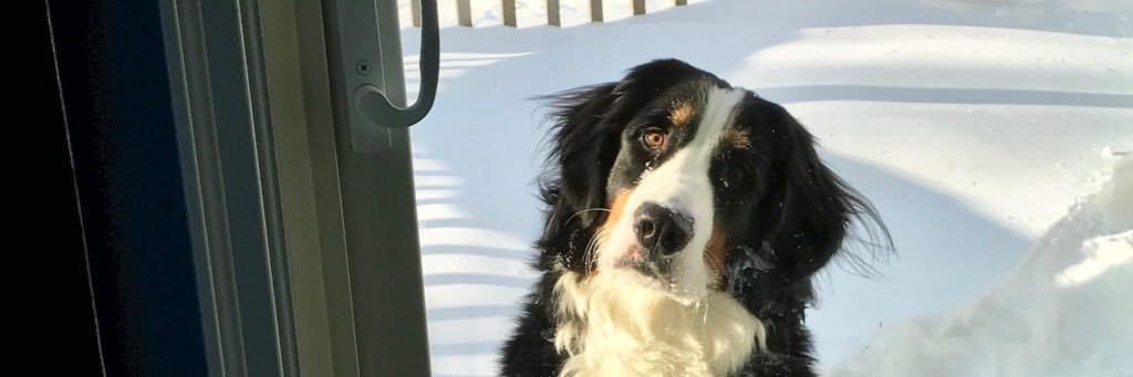 d_chud's profile banner image