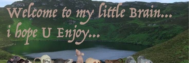 bambi 🪽 banner