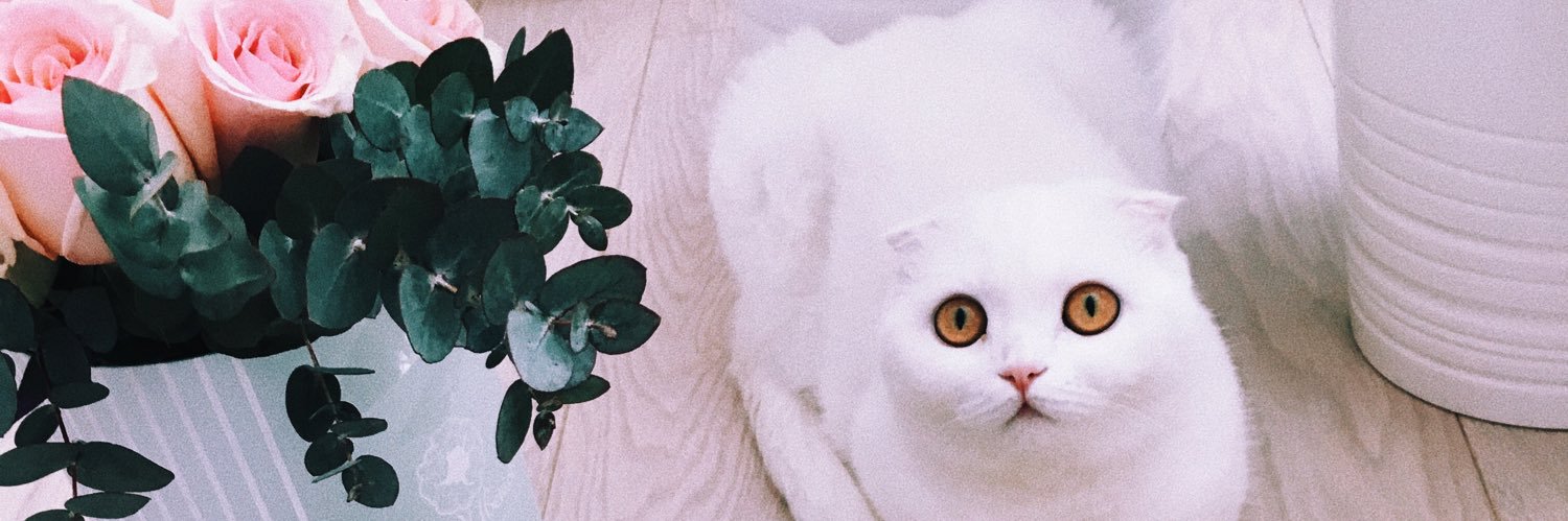 Ianochka_'s profile banner image