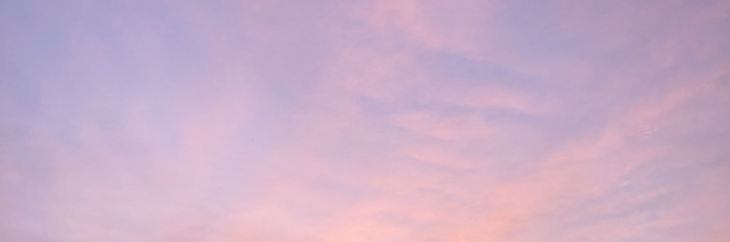pearlflections's profile banner image