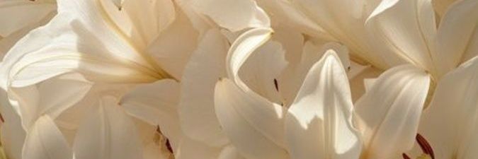 mynameislunna's profile banner image