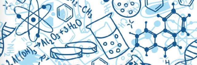 Rachel Sanders banner