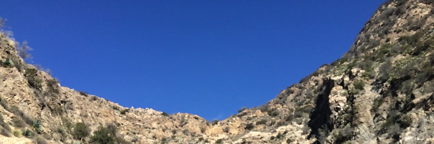 LidiaRuns's profile banner image