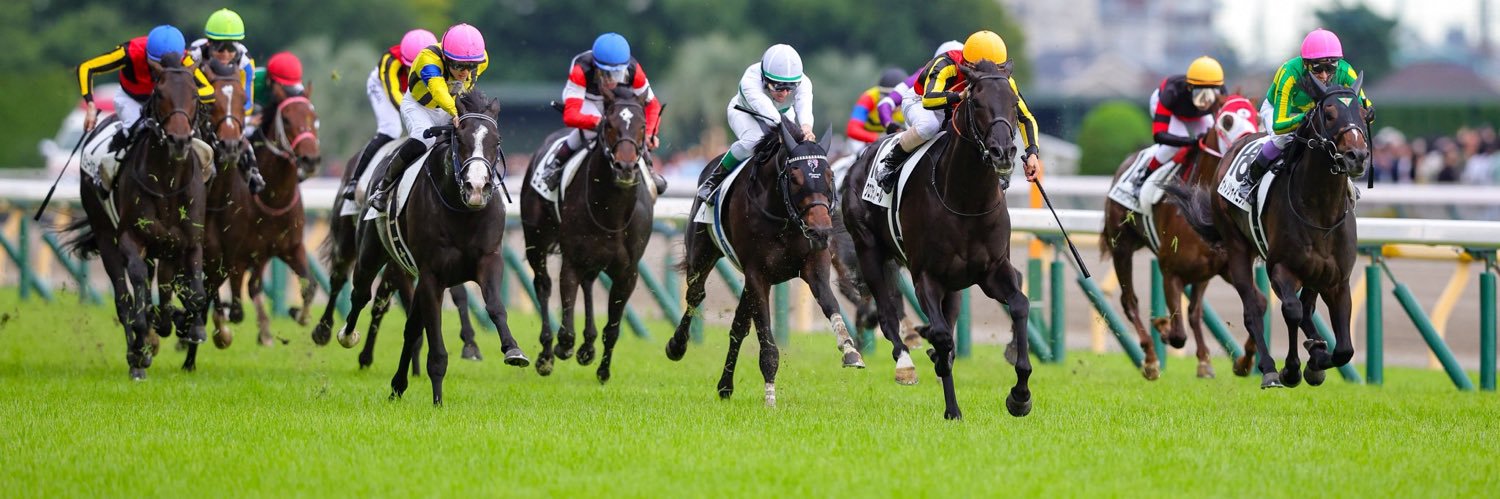 ゆ う ネ ク ッ チ 2026∞🏇🚤 banner