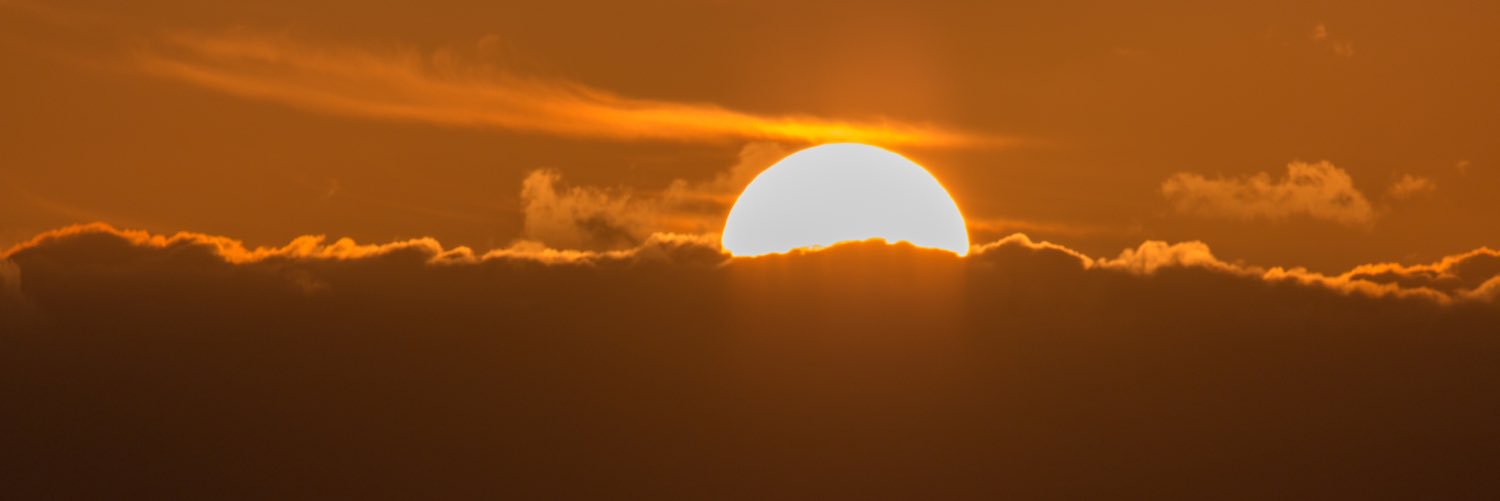 steven_singer's profile banner image