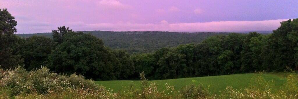 _aller_'s profile banner image