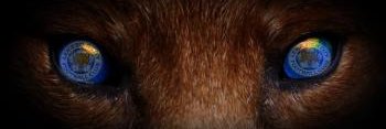 JamesLBennett's profile banner image