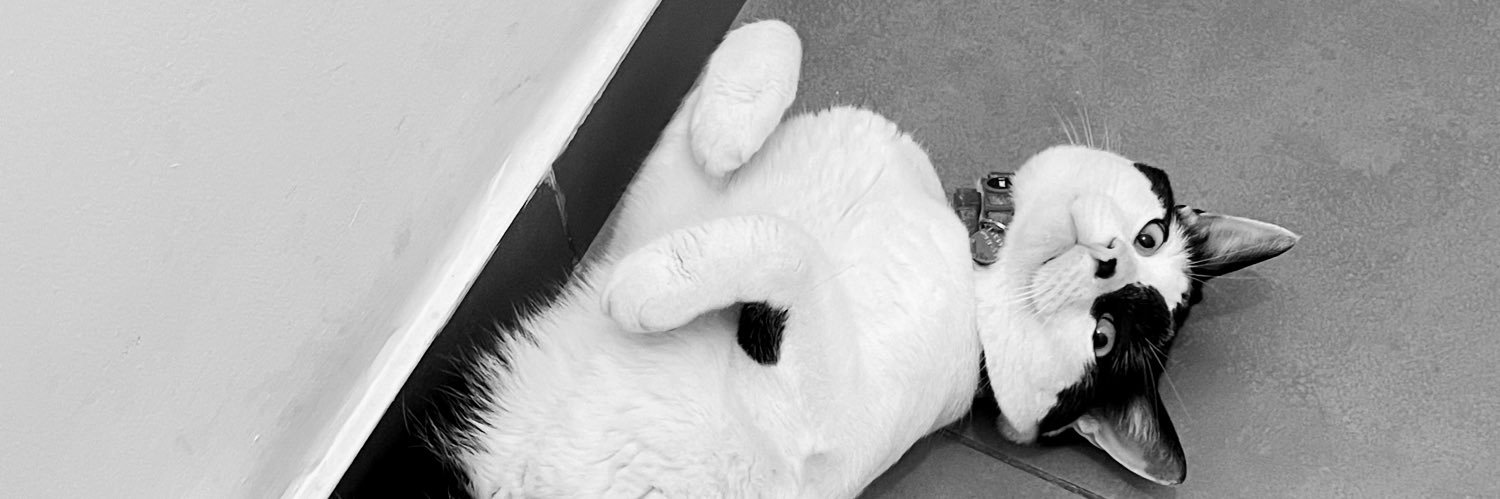 indievibes's profile banner image