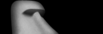 WSsasin53564's profile banner image
