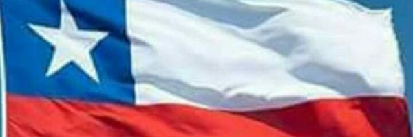 lenguado13 Profile Banner
