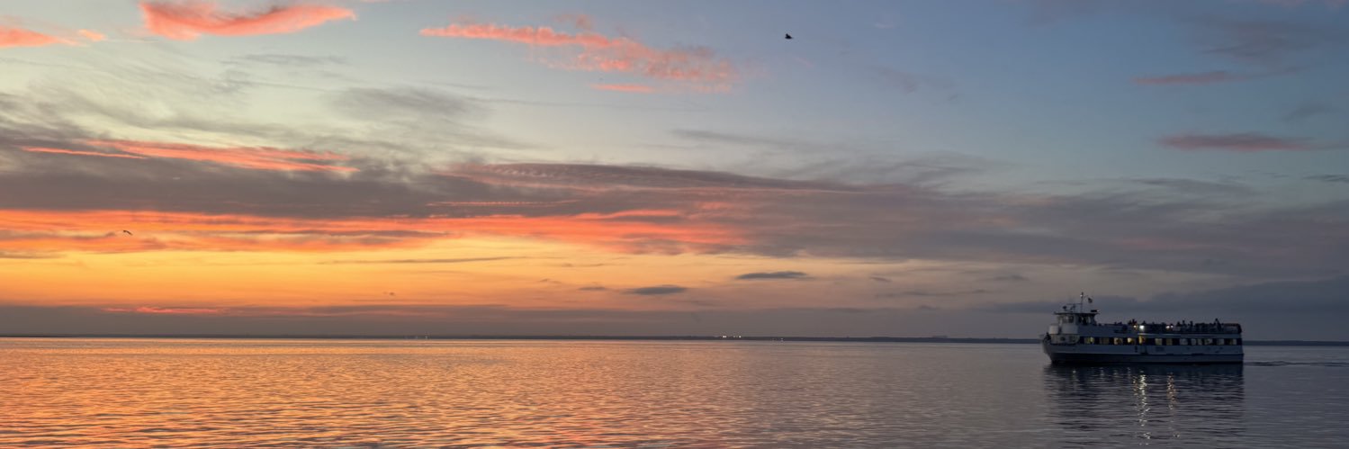 David Pejovic, Esq. banner