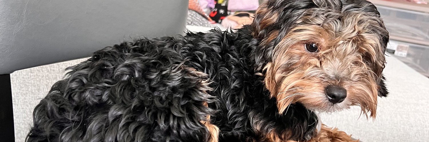 FunSizeDirah's profile banner image