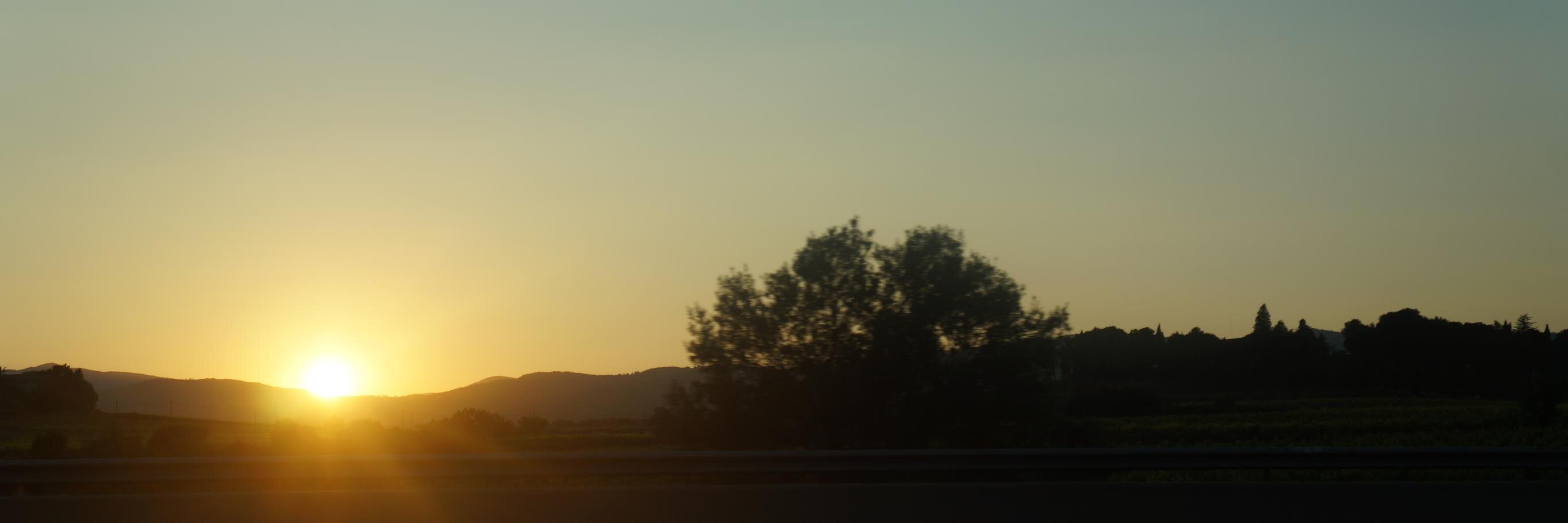 pauenlaterra's profile banner image