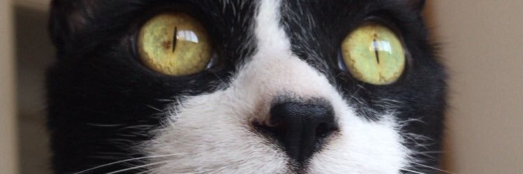 MartinSinisi's profile banner image