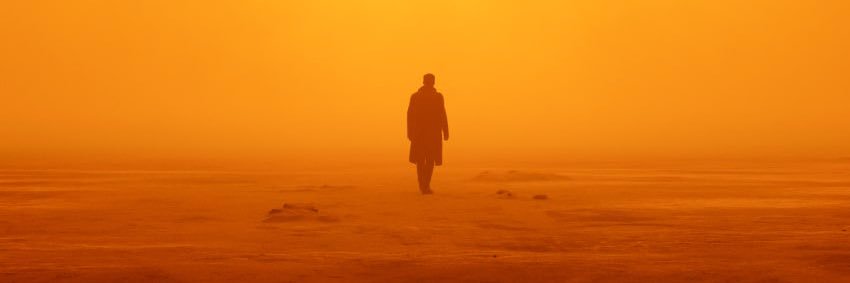 Tyler banner