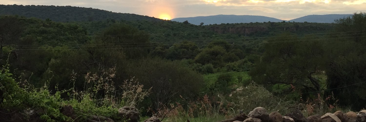 cristinalila's profile banner image