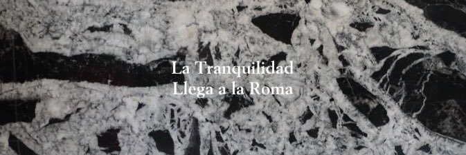 Tomás Casa Editora T banner