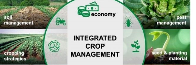 Justin UWIMANA banner