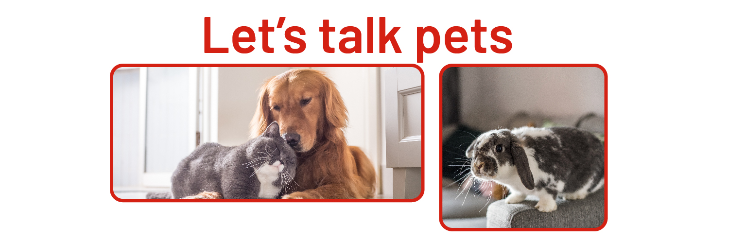 Argos Pet Insurance banner