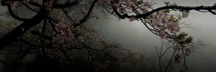 luckigirl12 🎀 banner