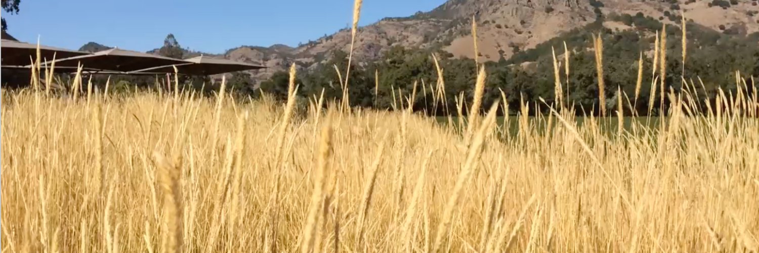 LisaZapalac's profile banner image