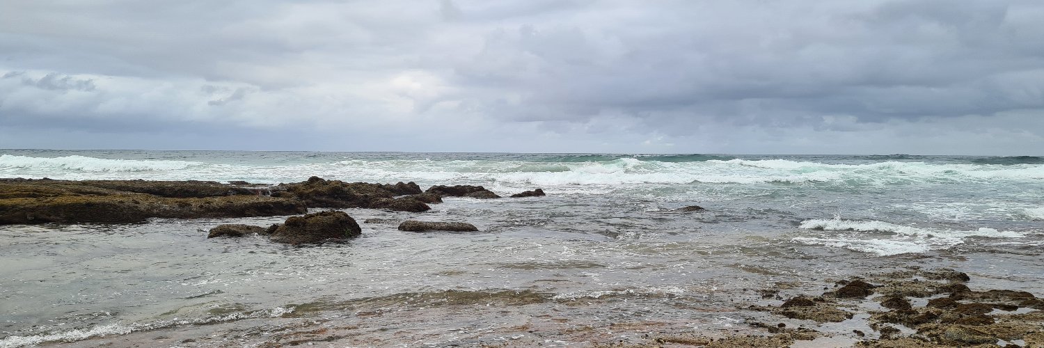 LynethCrighton banner