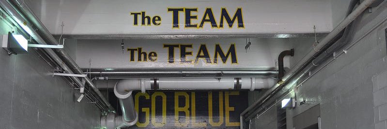 U.P. Wolverine banner