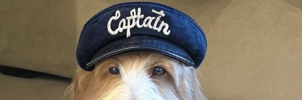 CAPTAINTOOGIE Profile Banner