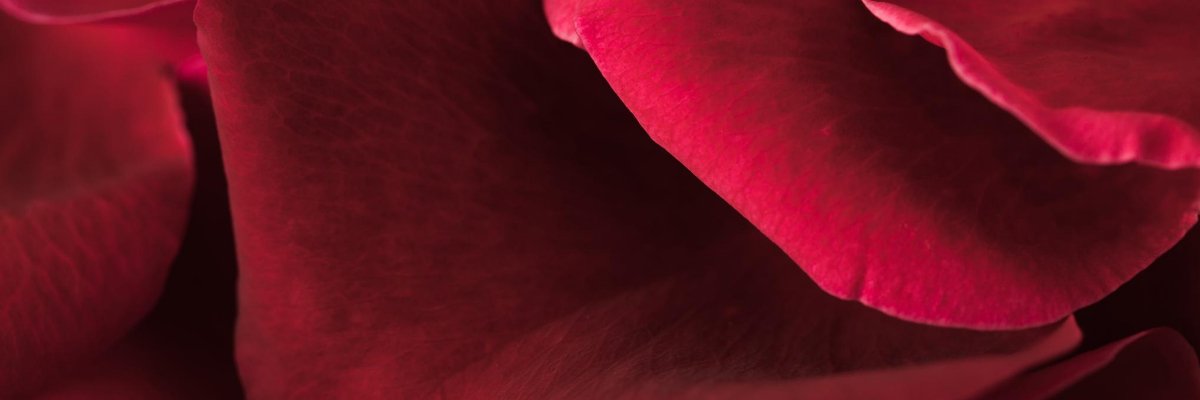 validar36's profile banner image