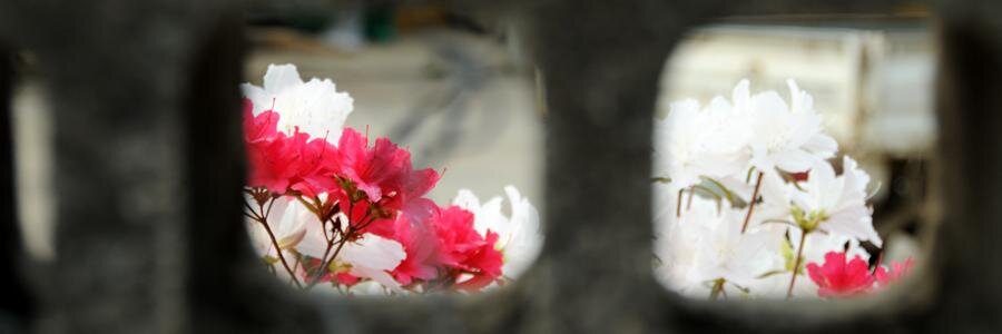 bakutwt's profile banner image