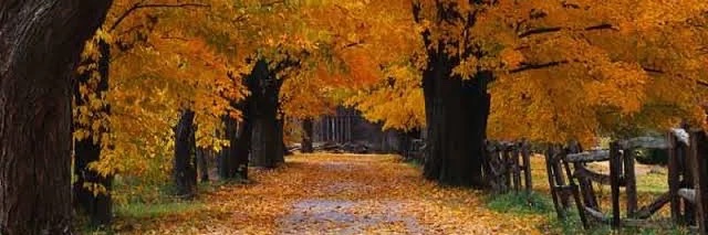 Evan Williams banner