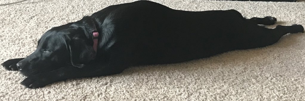 MattObie's profile banner image