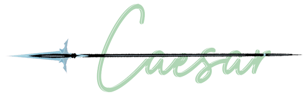 L4NCER0UTLAW Profile Banner