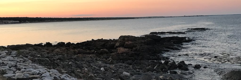 fionablanchard_'s profile banner image