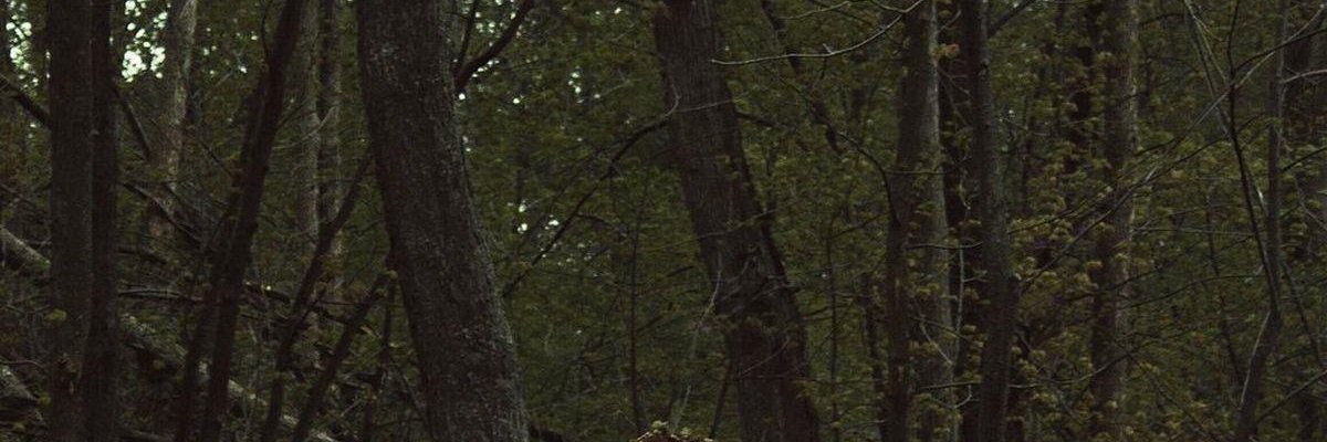 EM203MToorani's profile banner image