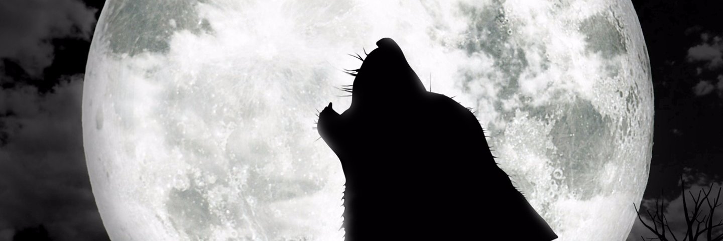 InnatePredator's profile banner image