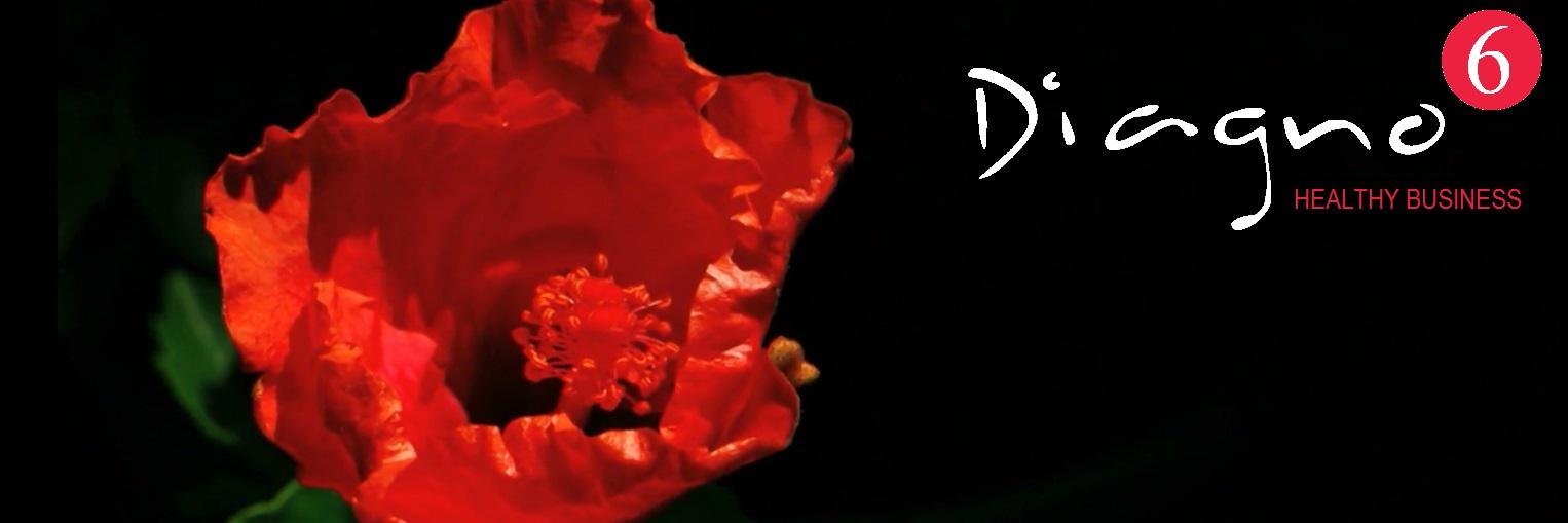 DIAGNO6's profile banner image