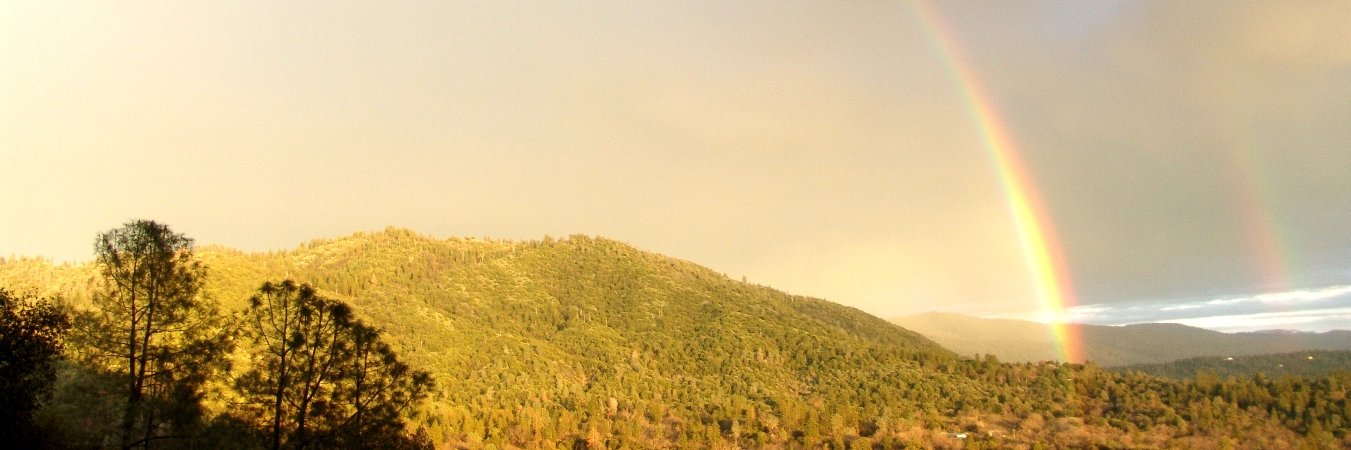 Bear Vasquez banner