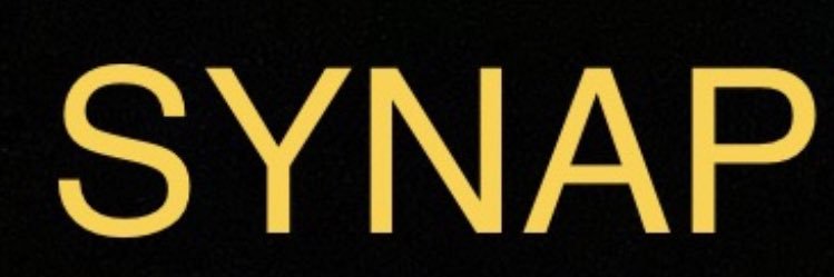 SyNaP banner