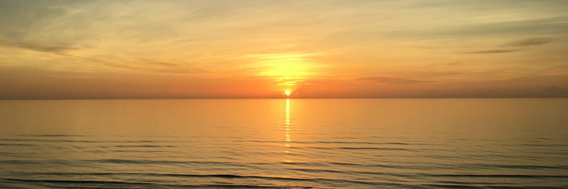 Frankie Lee Jr banner