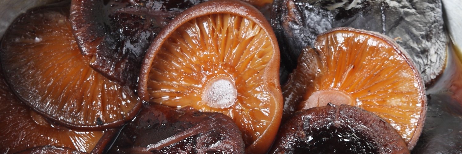 dryshiitake's profile banner image