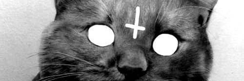 lesslilian's profile banner image