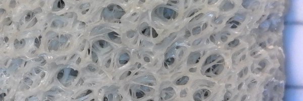 benmagelsen Profile Banner