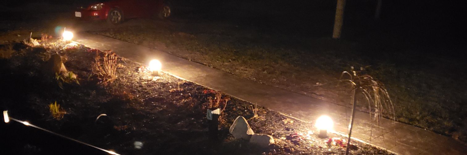 True Raptors Fanatic banner